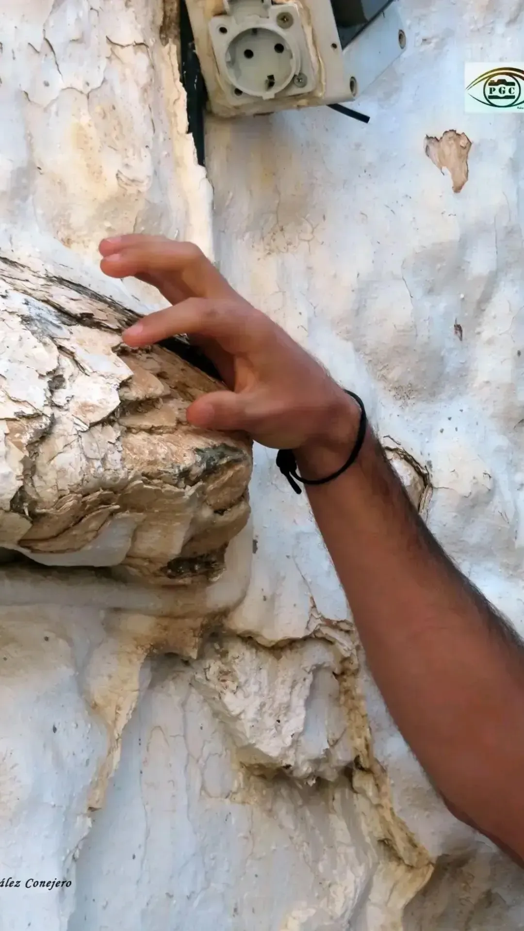 Festival andalusí en Salares