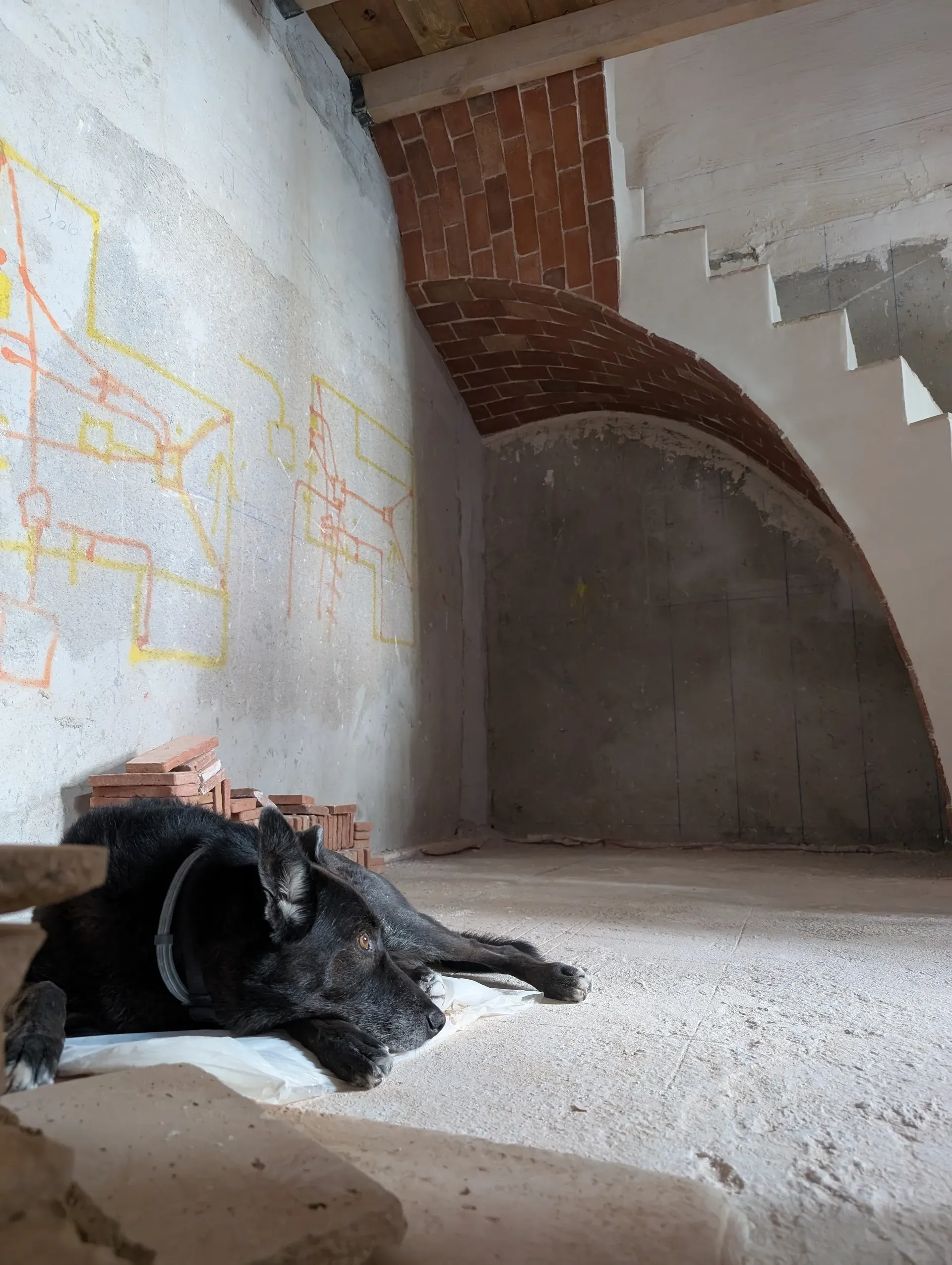 Ron descansando junto a la escalera