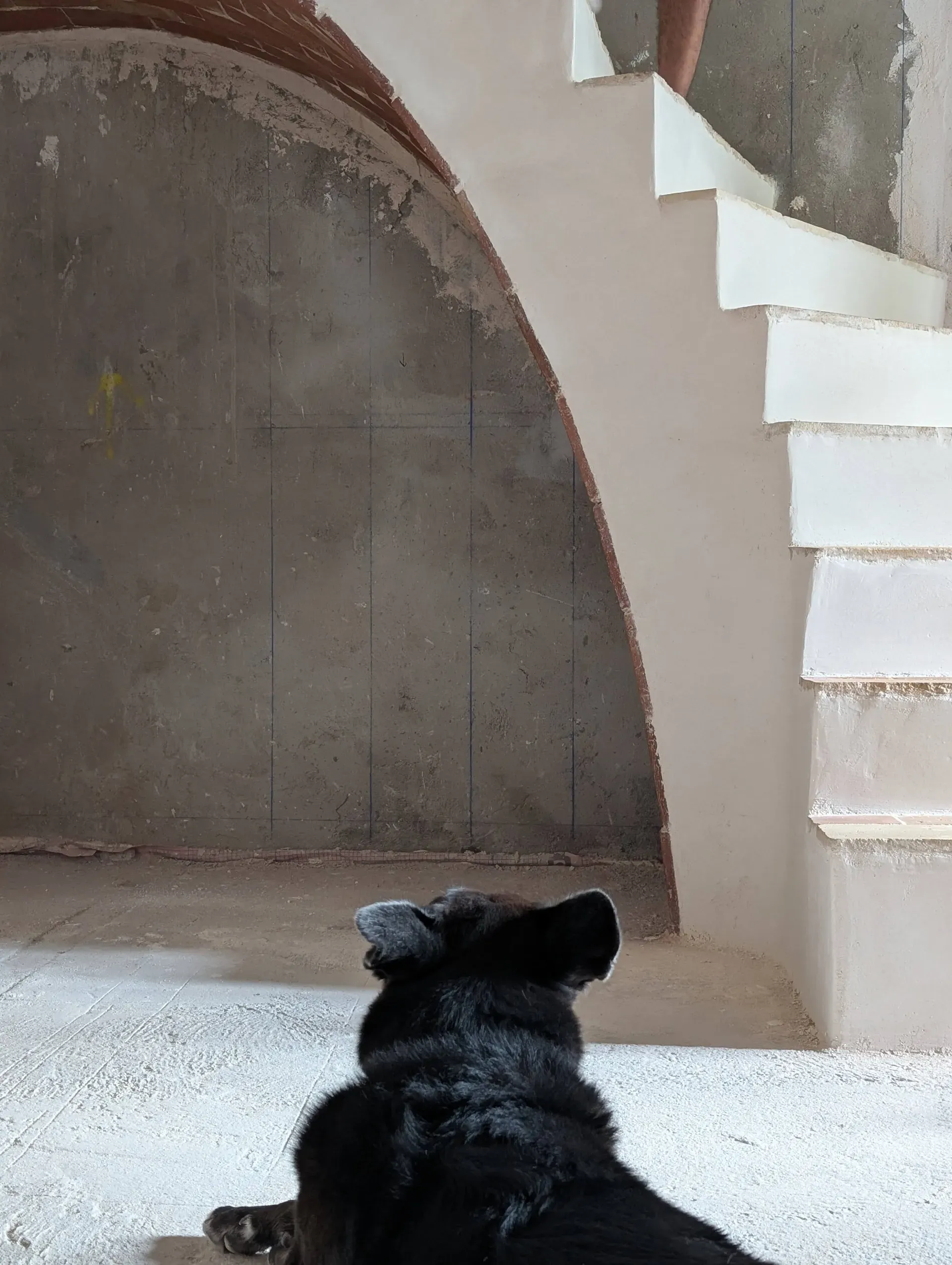 Ron observando el hueco de la escalera con el trazado marcado