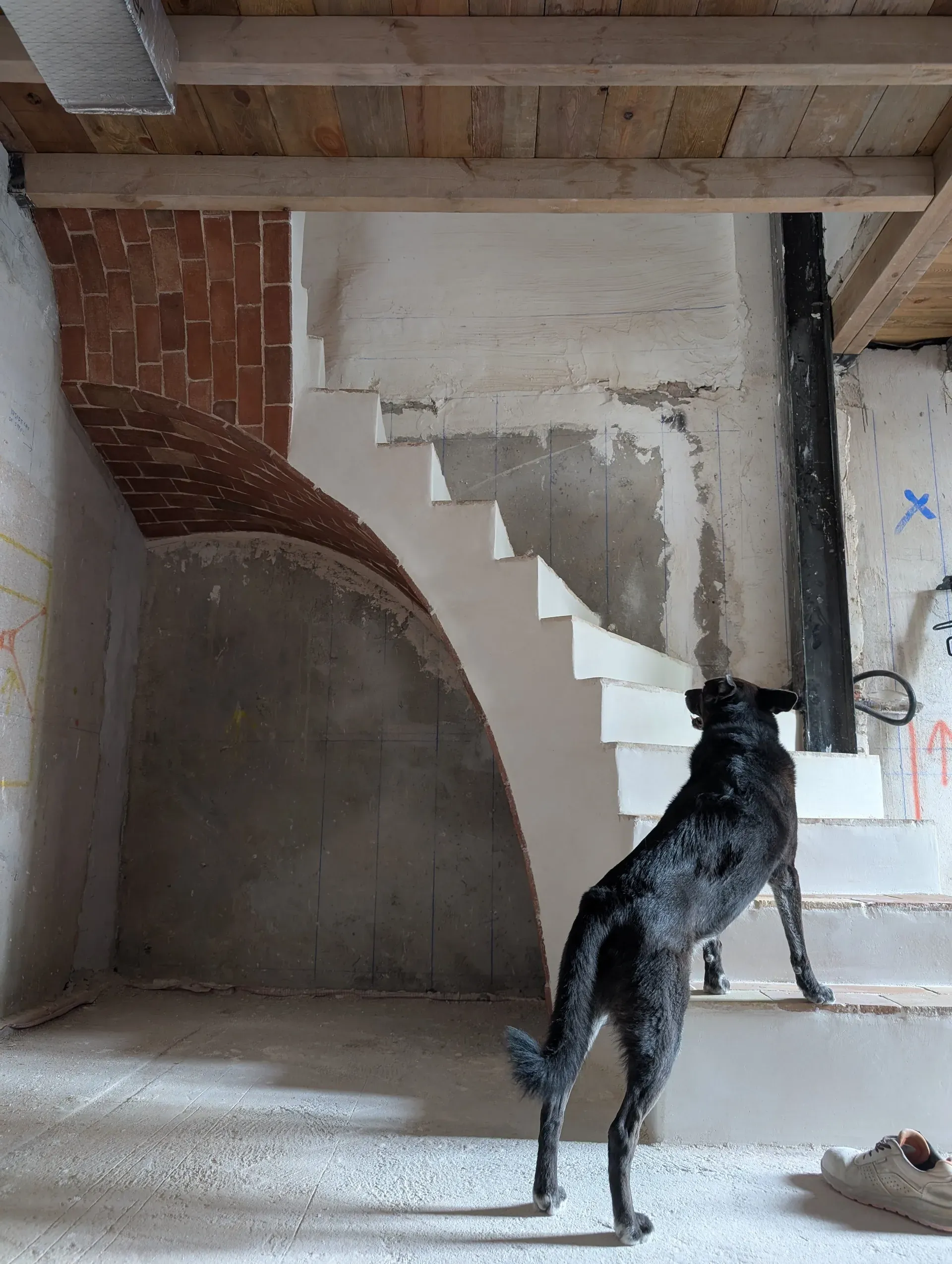 Ron de pie mirando hacia la estructura de la escalera
